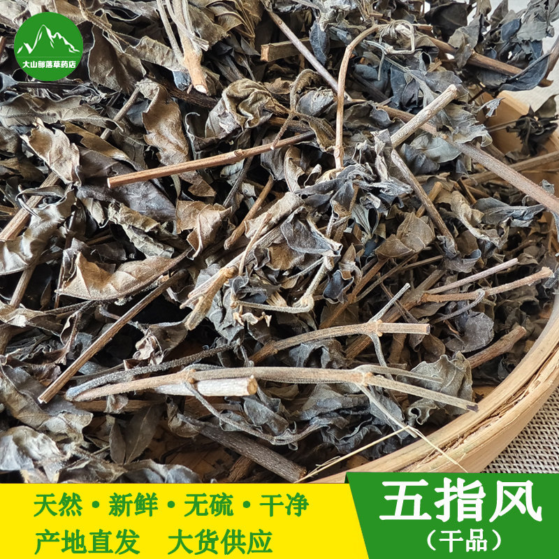 野生五指风 新鲜黄荆 中药材五指柑 布荆枝叶 牡荆 土常山 五指枫
