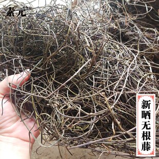 广西无根藤野生干品无头藤青丝藤罗网无娘藤藤晒干草菟丝子包邮