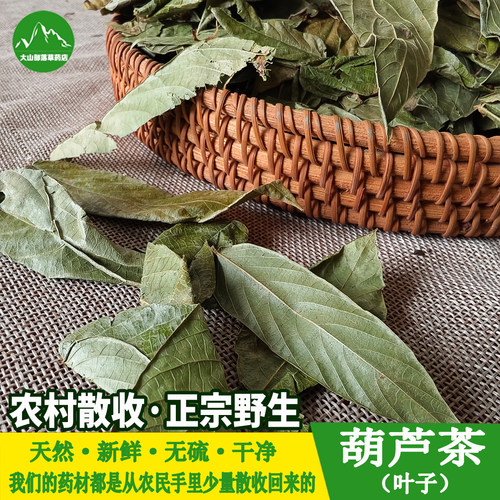 广西野生葫芦茶中草药