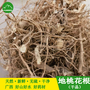 新晒肖梵天花根 中药材地桃花根 新鲜梵天花全草天然棉花根狗脚迹