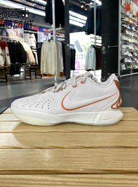 Nike/耐克LeBron 21LBJ21男詹姆斯实战运动篮球鞋FV2346-001-800
