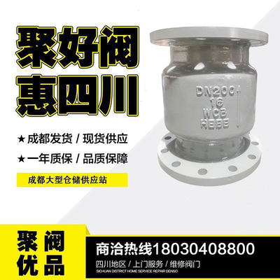 H42H铸钢大口径法兰止回阀立卧式单向阀重型DN300DN450DN500DN600