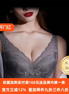 奥丝蓝黛养胸内衣女全罩杯收副乳大胸显小 上托防下垂薄文胸T14