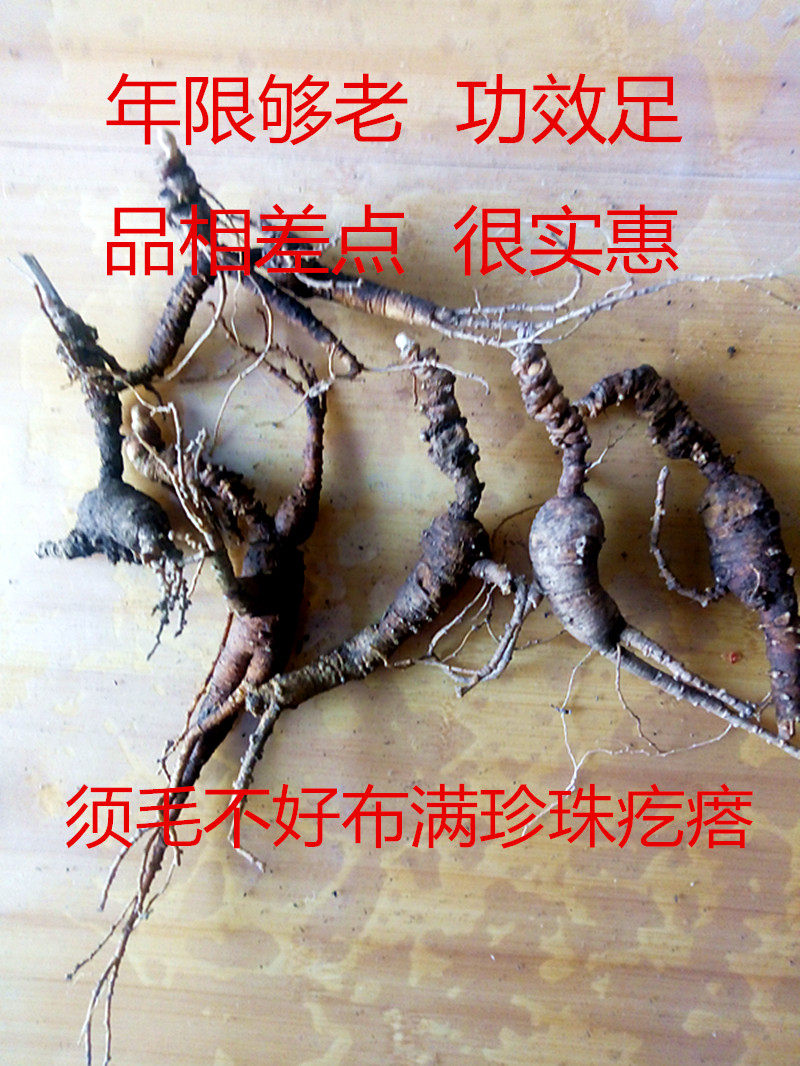 Boss ginseng fresh Chicken Paojiu Foundation Pure-seeded Rust Ginseng 20 Abovein the Traditional nourishing food , Ginseng tonic , Wild ginseng  category - from Buy2taobao.com to provide professional Taobao agent buy service