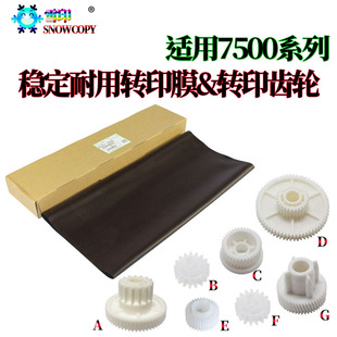 适用理光MP8001转印带6503 6001 9001 7502 9002 7000 9003转印膜