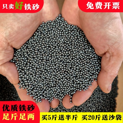 铁砂掌专用铁砂初学练掌沙袋沙包填充物传统配重铁沙子铁沙掌钢珠 - 封面