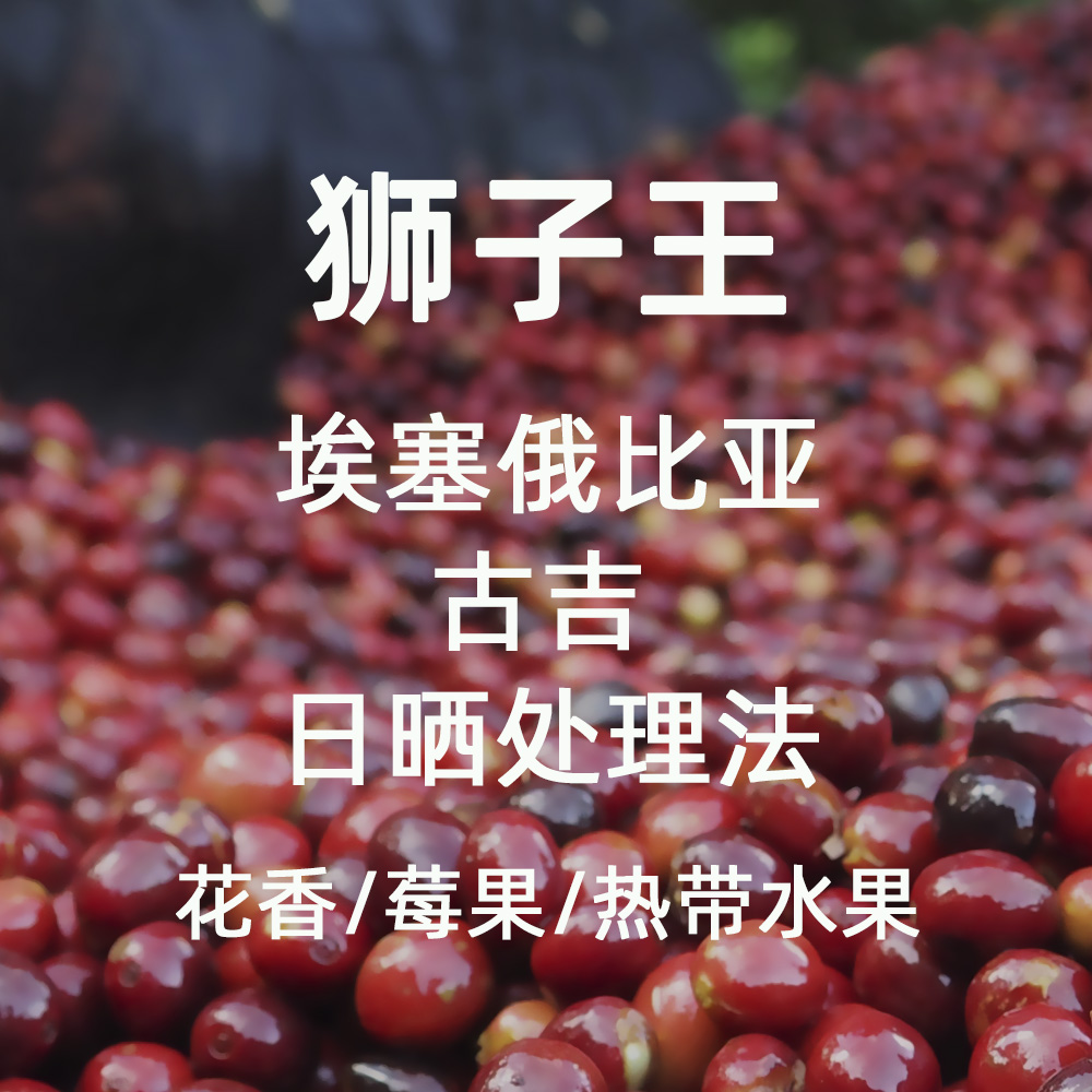 微墨咖啡手冲咖啡埃塞俄比亚果酸
