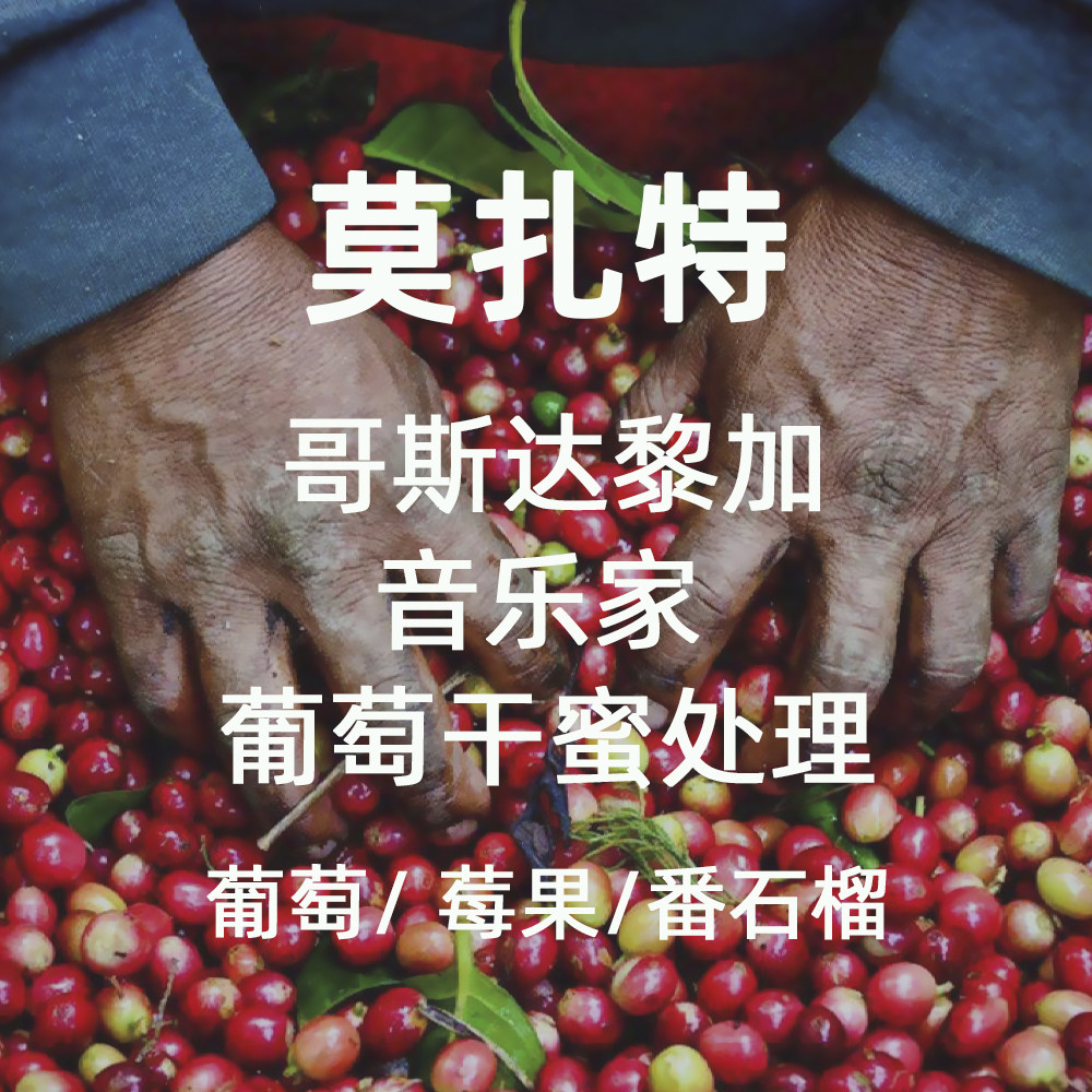 微墨 精品咖啡豆 哥斯达黎加 音乐家莫扎特 葡萄干蜜处理手冲200g