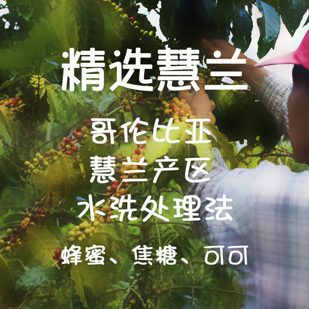 微墨 精品咖啡 哥伦比亚 精选慧兰 水洗 中度烘焙 口粮之选 200g