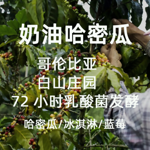微墨 精品咖啡豆 哥伦比亚 白山庄园 紫卡杜拉奶油哈密瓜手冲200g