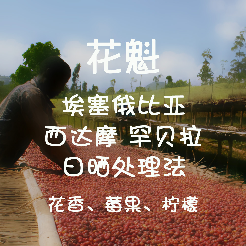 微墨 精品咖啡 埃塞俄比亚 古吉 花魁 日晒处理法 单品手冲 200g