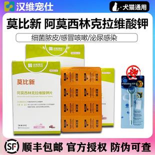汉维宠仕莫比新阿莫西林克拉维酸钾猫狗消炎猫鼻支咳嗽膀胱炎泌尿