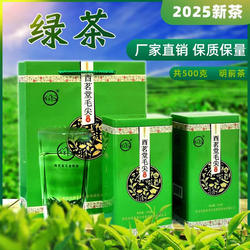 酉茗堂毛尖茶叶绿茶2025新茶礼盒装重庆酉阳宜居毛尖春茶罐装500g