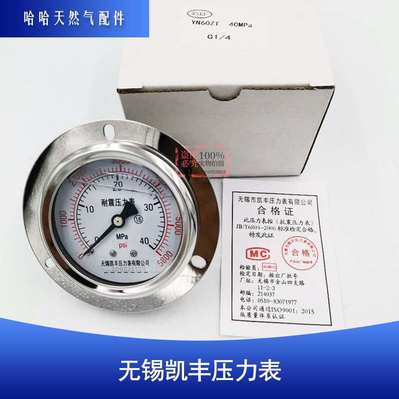 cng lng 富瑞特装 圣达因气瓶yn60zt  40mpa g1/4无锡凯丰压力表