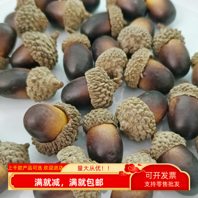 仿真橡果儿童摄影道具装饰品教学