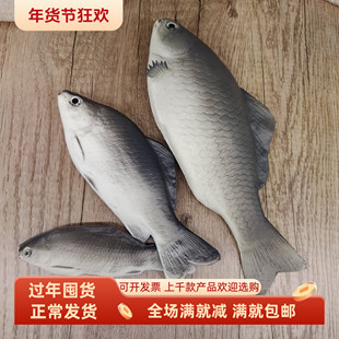 仿真鲫鱼小海鱼模型河底海洋生物教学道具影视剧菜市场假摆设装饰