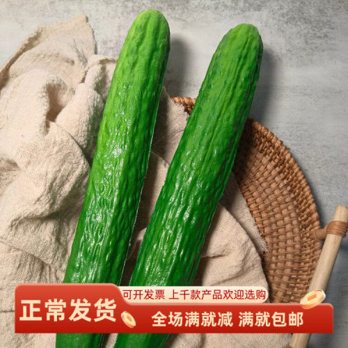 PU仿真黄瓜蔬菜橱柜食物模型道具