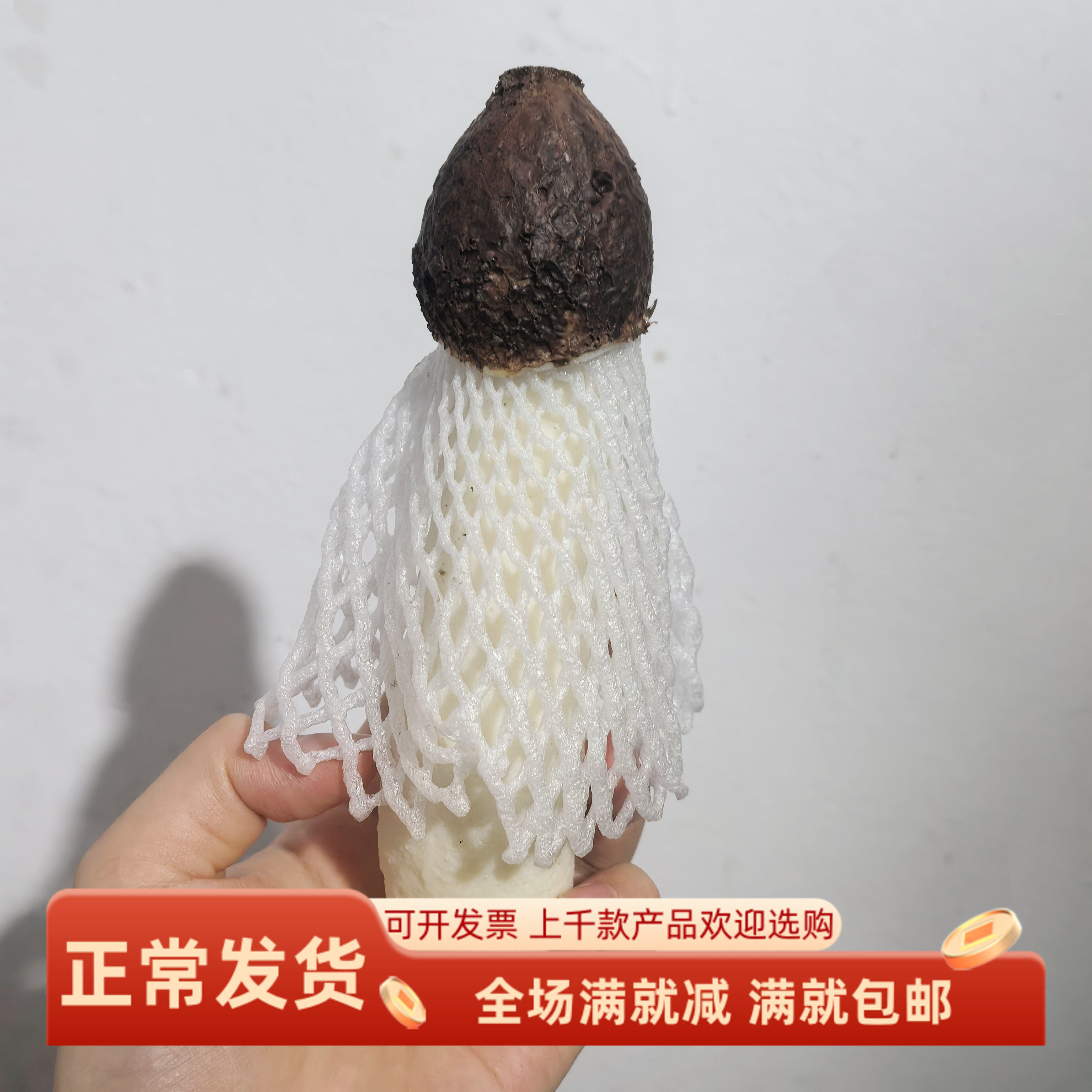 仿真竹荪模型仿真竹笙菌蘑菇装饰