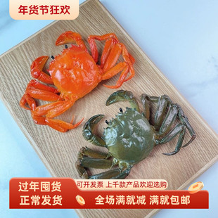 仿真大闸蟹模型假公母熟螃蟹鲜活河鲜餐厅陈列整蛊生物教学玩道具