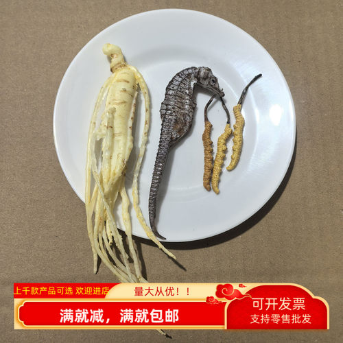 仿真珍稀名贵中药材标本模型道具