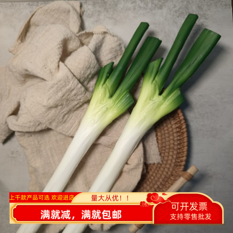 仿真大葱蒜蔬菜道具模型儿童
