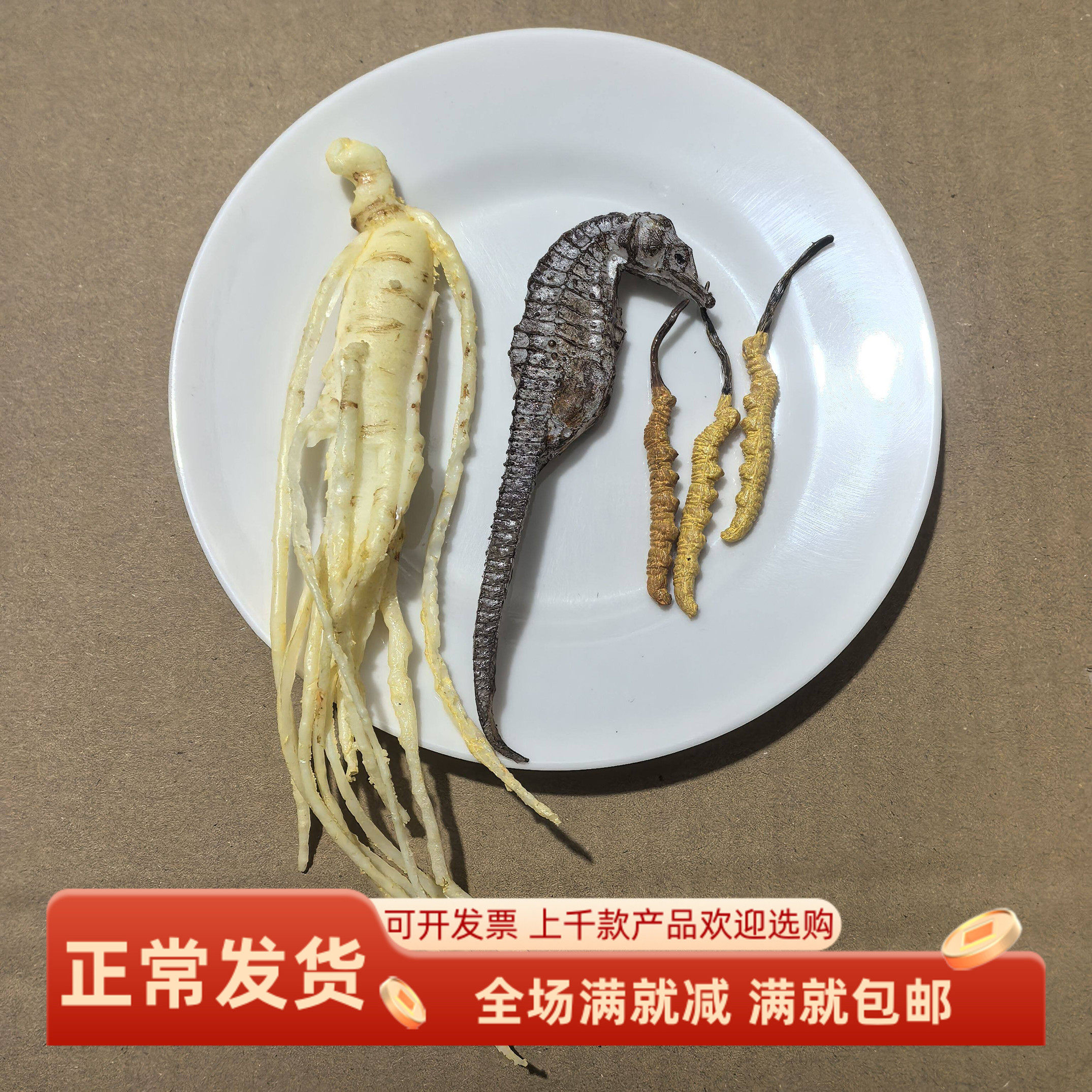 仿真名贵中药材标本模型海马人参冬虫夏草鹿茸假道具科普宣传摆件