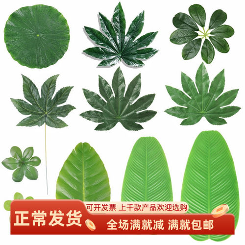 仿真芭蕉叶舞台布置八角叶子绿色