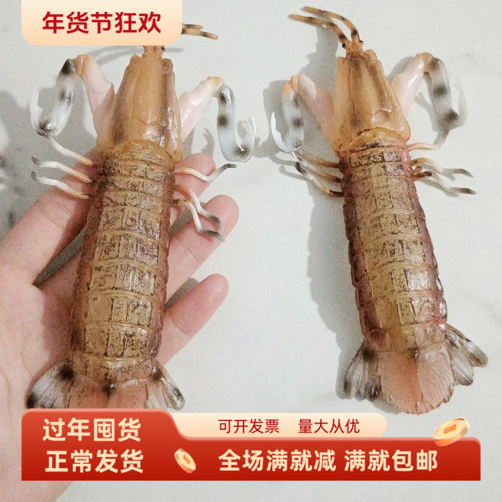 仿真皮皮虾模型假海洋生物模型濑尿虾儿童科教玩具虾姑虾耙子摆件