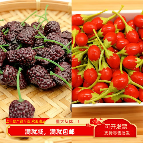 仿真食物模型桑葚红枸杞拍摄道具