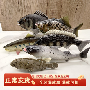 仿真淡水鱼海洋动物模型湖河鲫鱼鲈鱼金枪鱼缸造景观赏摆设装 饰品