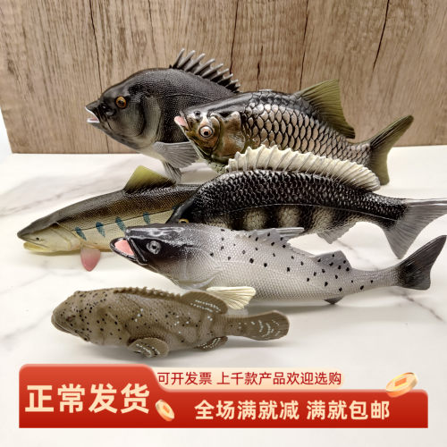 仿真淡水鱼动物模型鱼缸造景装饰