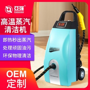 高溫高壓蒸汽消毒清潔機(jī)殺菌蒸汽油污漬 蒸汽清洗機(jī)即熱式 去清潔