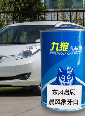 九狼汽车漆东成品风改启色车辰漆T90晨风象牙白月光银白色修理厂