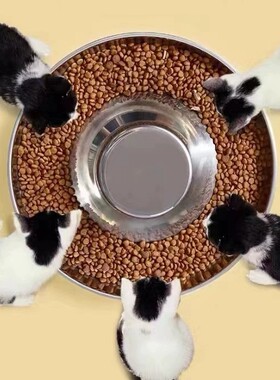 多猫食盆繁育碗大饭盘猫粮碗幼猫犬专用盆不锈钢超大号防打翻宠物