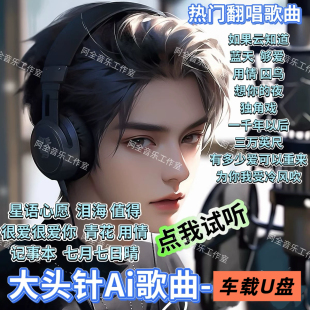 大头针专辑歌曲抖音网红Ai翻唱2025伤感流行热门正品音质车载U盘