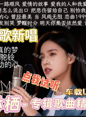 林栖专辑歌曲爱情的故事汽车载U优盘USB小红书同款经典怀旧国语