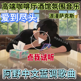 阿野中文蓝调专辑抖音热门歌曲爱到尽头咖啡厅酒馆音乐车载U盘CD