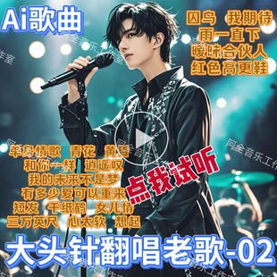 大头针翻唱歌曲第二张专辑汽车载CD碟U盘USB抖音网红伤感流行热门