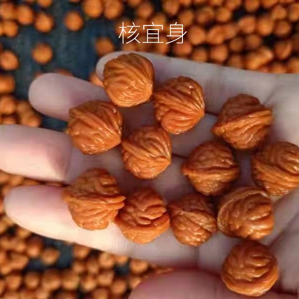 秦岭野生龙纹桃核 手串2021年新货支持定做直播专用链接单拍不发