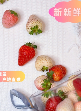 【2026-11上市】云南多色草莓礼盒三色草莓送礼甜草莓女朋友礼物