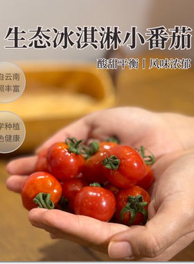 爆浆冰淇淋小番茄西红柿圣女果
