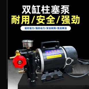 隆迈手提式 打药机农用电动果树喷雾器12v60v24v220伏双缸柱塞泵