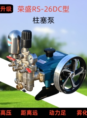 农用三缸柱塞泵高压打药机荣盛RS-26DC泵头汽油机压力泵喷雾器