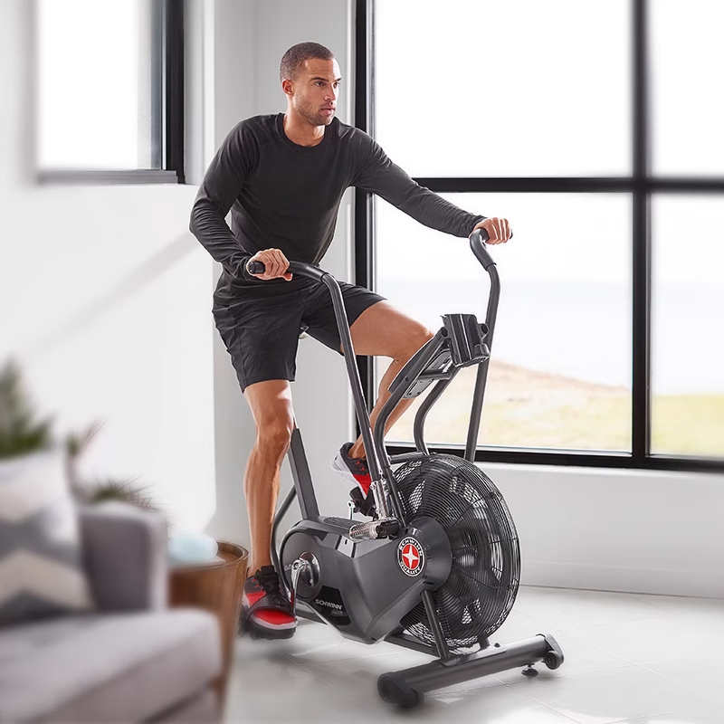 搏飞家用风阻动感单车室内骑行多功能自行车健身车乔山十字星AD6i