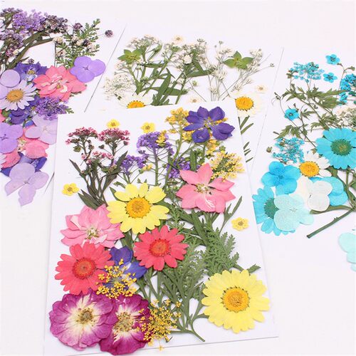 Cooldiy 干花压花混合材料包滴胶手机壳素材 晶菊雪珠水仙千鸟叶