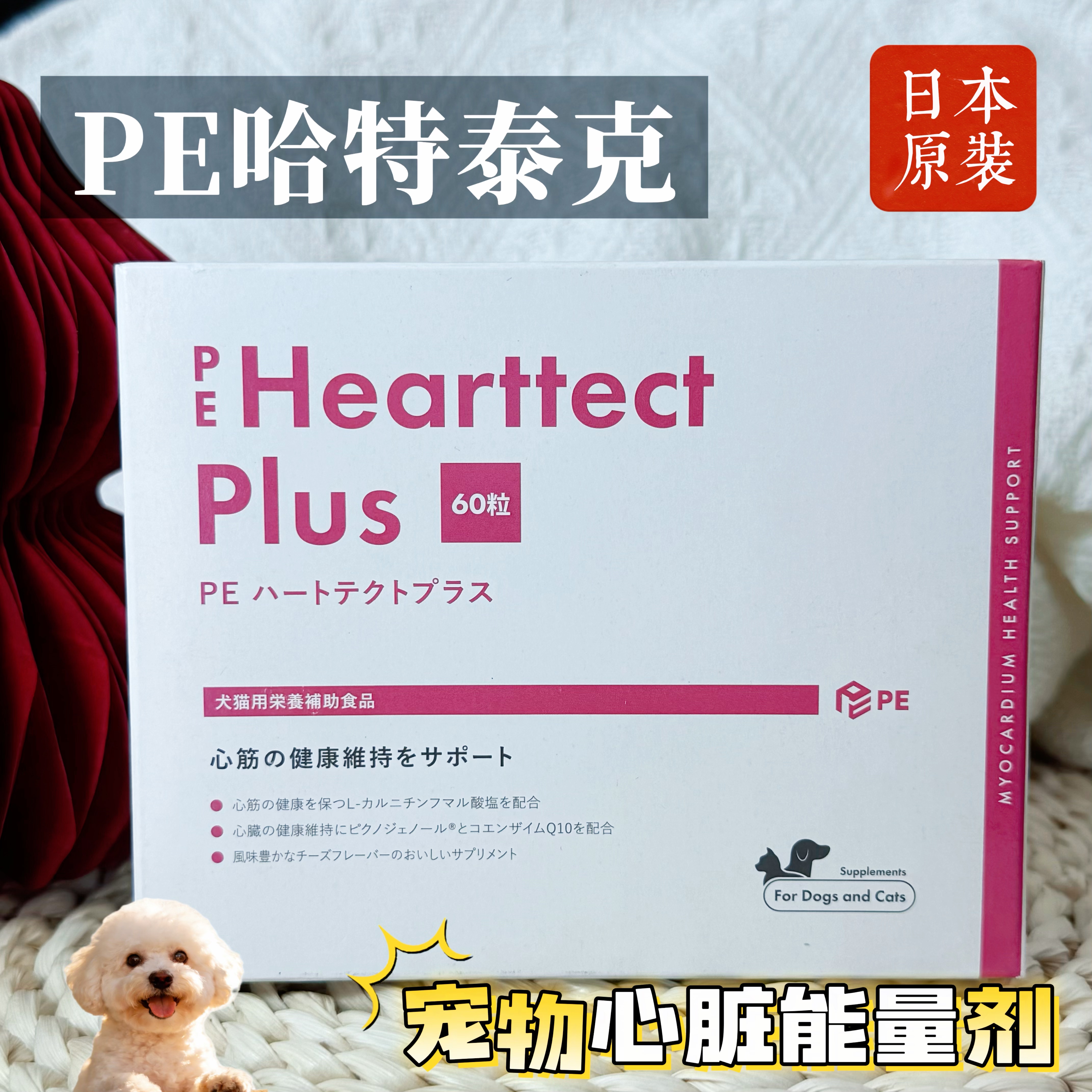 日本PE猫狗辅酶Q10缓解气喘图片