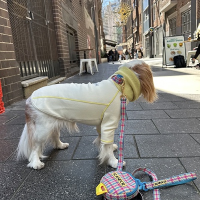 25新款iCANDOR狗狗两脚服亲肤保暖抗寒高领套秋冬宠物服饰内搭