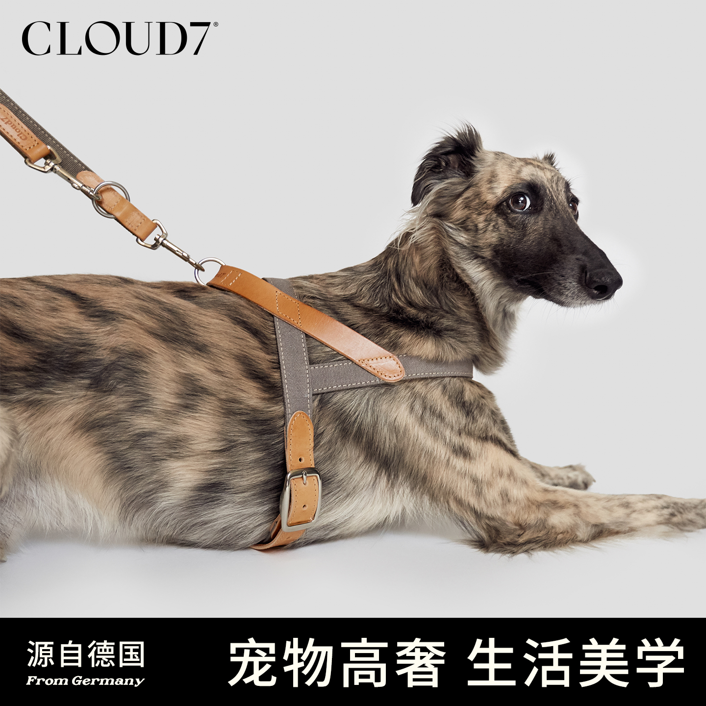 德国cloud7蒂沃利胸背真皮防爆冲狗狗胸背带轻奢Y字型牵引遛狗绳