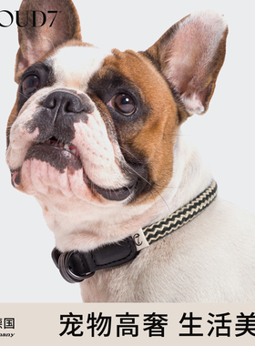 德国cloud7仙人掌皮狗狗宠物项圈小中大型犬皮脖圈牵引绳子
