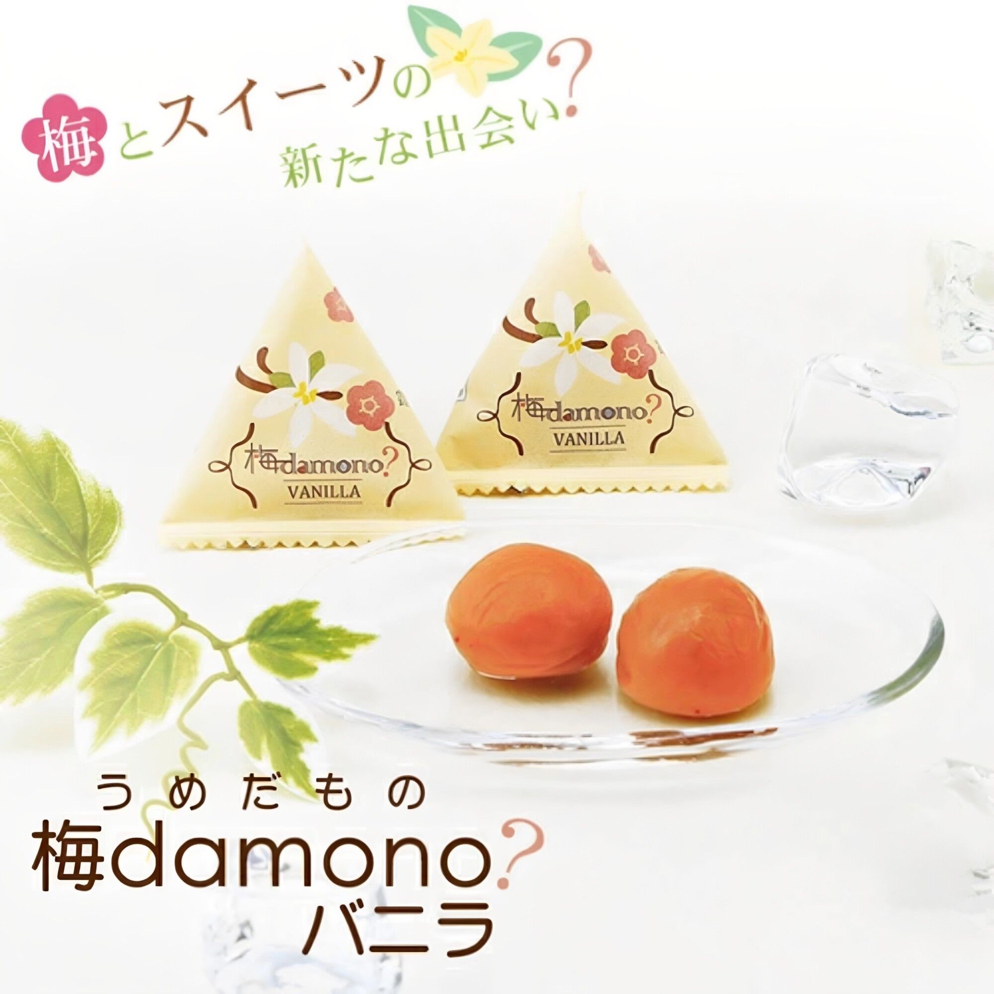日本直邮中田食品香草味12粒装和歌山纪州南高梅 梅干 盐分4%